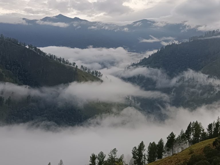 Kabut di Dataran Tinggi Bener Meriah