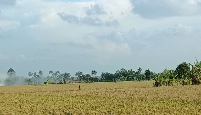 The Harvest Season is Over